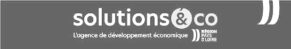 Logo Solutions & co